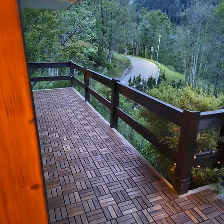 شقة El Balcon Des Diablerets لي ديابليريتس
