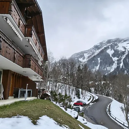 El Balcon Des Diablerets شقة *