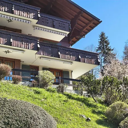 El Balcon Des Diablerets شقة *