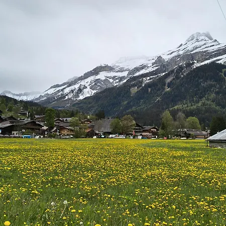El Balcon Des Diablerets لي ديابليريتس