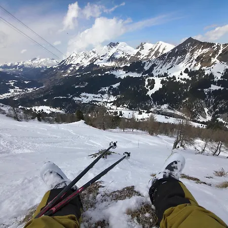 El Balcon Des Diablerets