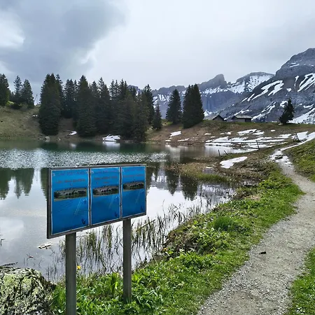 El Balcon Des Diablerets شقة *