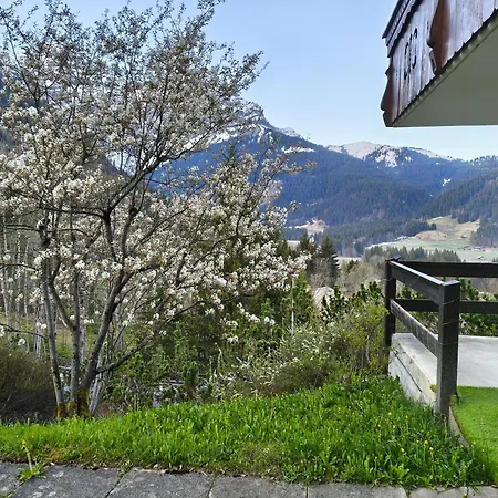 El Balcon Des Diablerets شقة